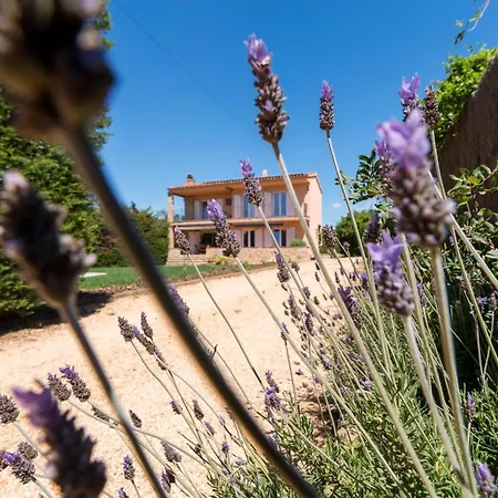 Casa Lavanda Mediterranea * 帕拉弗鲁赫尔